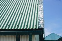 
DSC00234